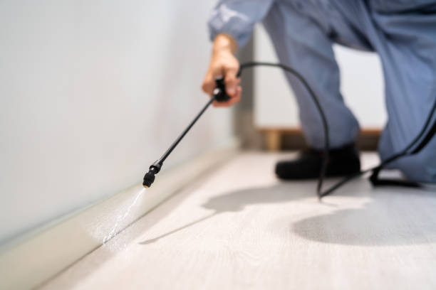Rodent Entry Point Assessment in Collinsville