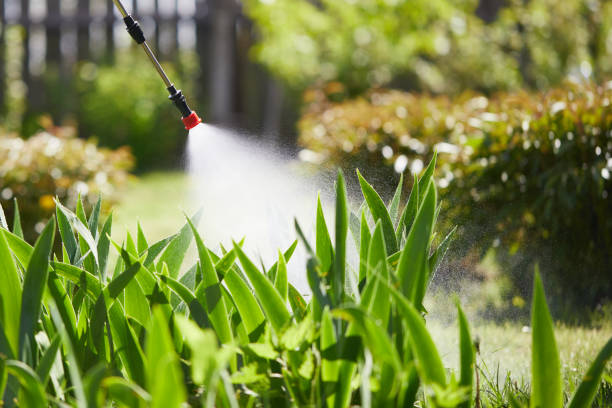 Tamper-Resistant Bait Stations for Rodents in Collinsville