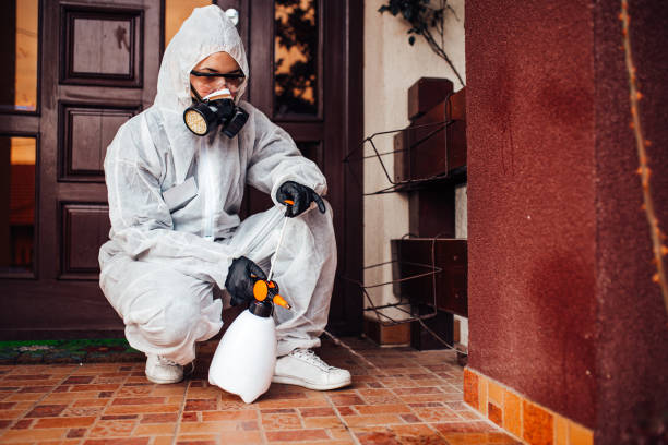 Attic and Crawl Space Rodent Treatment in Collinsville